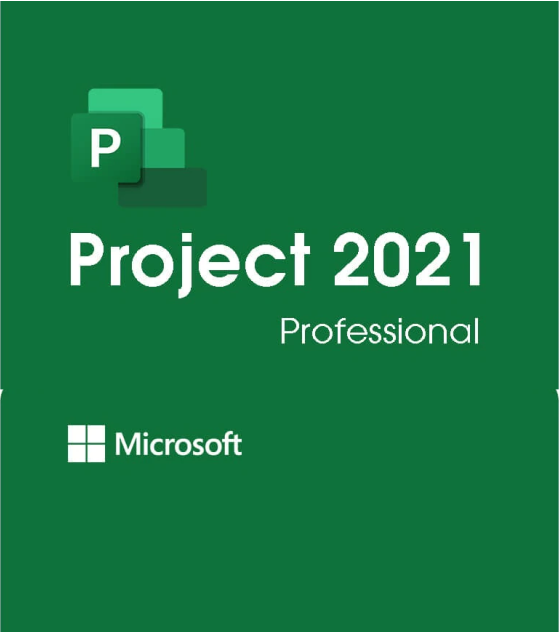 MS Project 2021 ( Nivel I ) - Gestión de Proyectos